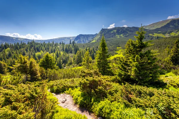 Sonniger Tag in den Bergen — Stockfoto