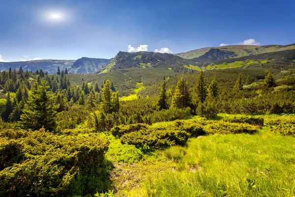 Sunny day in mountains — Stock Photo, Image