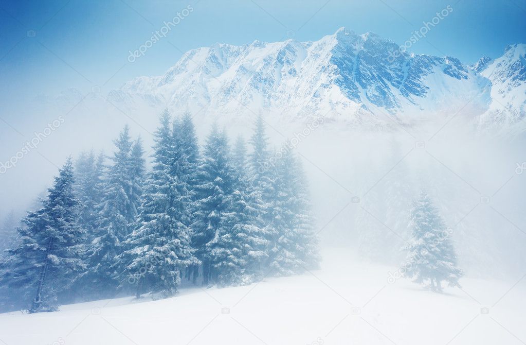 Winter landscape and blue sky
