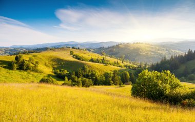 görkemli güneşli hills