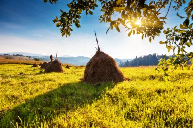 güneşli dağ manzarası