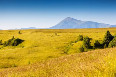 güneşli dağ manzarası