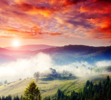 bulutlu gökyüzü altında güneşli hills