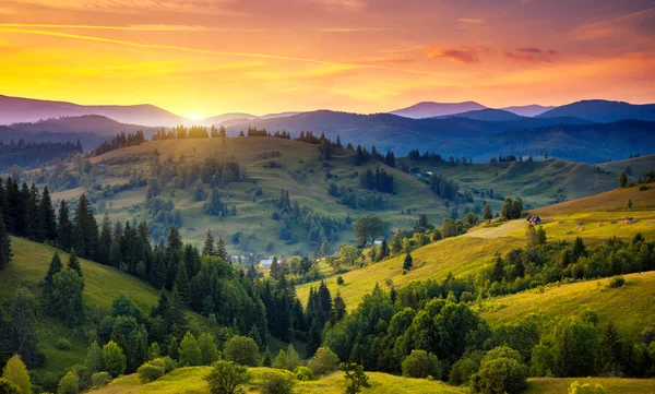 Carpathian green hills — Stock Photo, Image