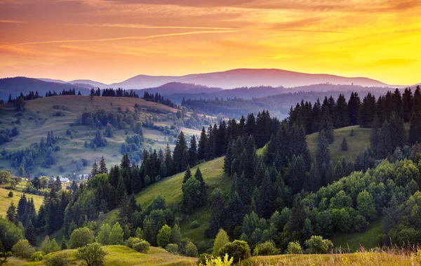 Karpaten grüne Hügel — Stockfoto