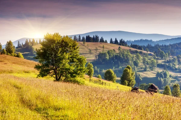 Zonnige berglandschap — Stockfoto