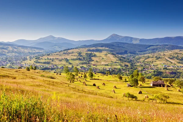 Sunny paesaggio montano — Foto Stock