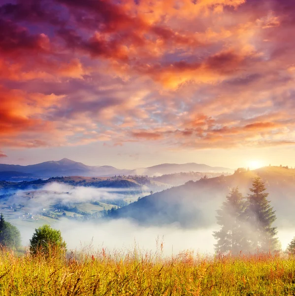 Sunny hills under cloudy sky — Stock Photo, Image