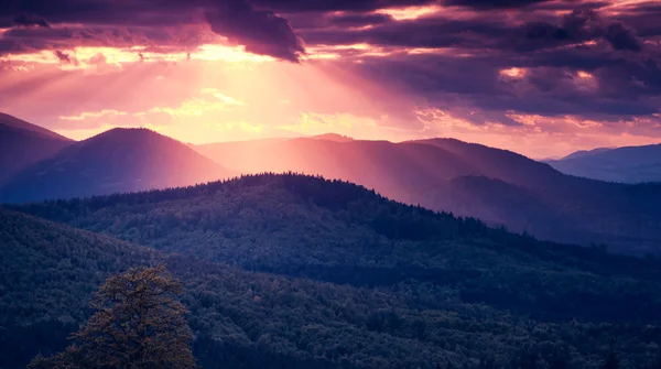 Karpatenlandschaft — Stockfoto