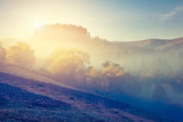 Karpatische landschap — Stockfoto