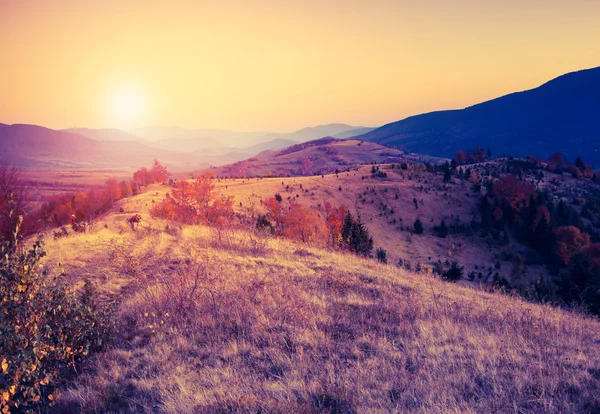 Karpatische landschap — Stockfoto