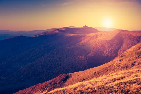 Sunny day in Carpathian mountains — Stock Photo, Image