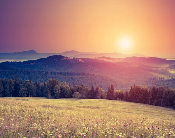 Slunečné kopci pod ranní obloze — Stock fotografie