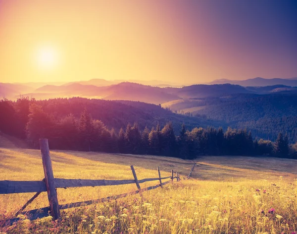 Soleggiate colline sotto il cielo del mattino — Zdjęcie stockowe