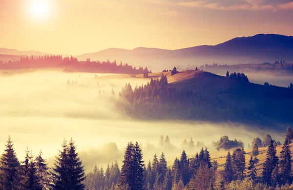 Sonniger Tag in den Bergen — Stockfoto