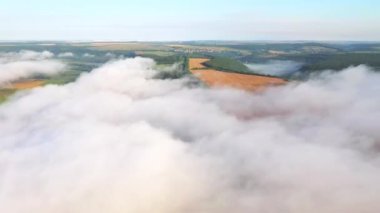 Puslu kırsal bölgenin muhteşem manzarası, tarım arazisi. Sinematik hava çekimi. Dinyester Nehri 'nin yeri, Ukrayna, Avrupa. Toprağın güzelliğini keşfedin. 4k 'lık İHA videosuyla çekildi..