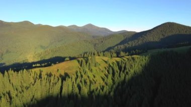 Güneşli bir günde yeşil alp çayırlarıyla görkemli dağ vadisi. Karpat Dağları, Ukrayna, Avrupa. Sinematik hava çekimi. Toprağın güzelliğini keşfedin. 4k, İHA videosu ile çekilmiştir..