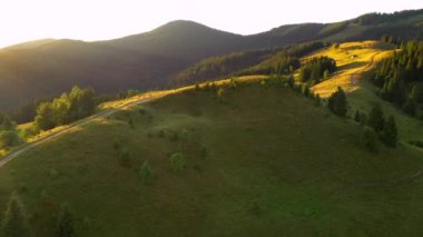 Güneşli bir günde yeşil alp çayırlarıyla muhteşem bir dağ vadisi. Karpat Dağları, Ukrayna, Avrupa. Sinematik hava çekimi. Toprağın güzelliğini keşfedin. 4k, İHA videosu ile çekilmiştir..