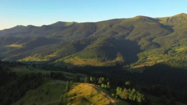 Güneşli bir günde yeşil alp çayırlarıyla muhteşem bir dağ vadisi. Karpat Dağları, Ukrayna, Avrupa. Sinematik hava çekimi. Toprağın güzelliğini keşfedin. 4k, İHA videosu ile çekilmiştir..