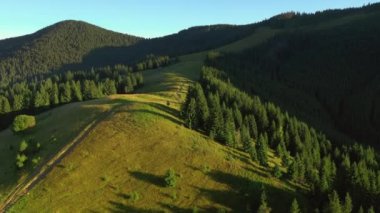 Güneşli bir günde ve alp çayırlarında muhteşem bir dağ manzarası. 4k, İHA videosu ile çekilmiştir..
