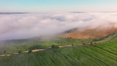 Tarımsal alanlardan geçen yolun nefes kesici üst görüntüsü. Sinematik hava çekimi. Dinyester Nehri, Ukrayna, Avrupa. Toprağın güzelliğini keşfedin. 4k 'lık İHA videosuyla çekildi..