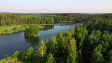 Güneşli bir günde sakin bir göl ve yeşil ormanlar için kuşbakışı mükemmel bir manzara. 4k, İHA videosu ile çekilmiştir..