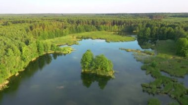 Güneşli bir günde sakin bir göl ve yeşil ormanlar için kuşbakışı mükemmel bir manzara. Konum Küçük Polissya, Ukrayna, Avrupa. Sinematik hava çekimi. Toprağın güzelliğini keşfedin. 4k insansız hava aracı videosunda çekildi.