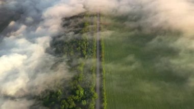 Sabahları yoğun sis tarlaların içinden geçen yol boyunca ilerler. Sinematik hava çekimi. Dinyester Nehri, Ukrayna, Avrupa. Toprağın güzelliğini keşfedin. 4k 'lık İHA videosuyla çekildi..