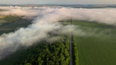 Puslu kırsal bölgenin muhteşem manzarası, tarım arazisi. Sinematik hava çekimi. Dinyester Nehri 'nin yeri, Ukrayna, Avrupa. Toprağın güzelliğini keşfedin. 4k 'lık İHA videosuyla çekildi..