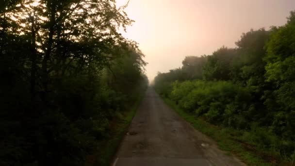 霧の朝の森の中で農村部の道路の空中ビュー ドローンが枝を飛んでいる 空中での撮影 場所ウクライナ ヨーロッパ 地球の美しさを発見 ドローンビデオで撮影 — ストック動画