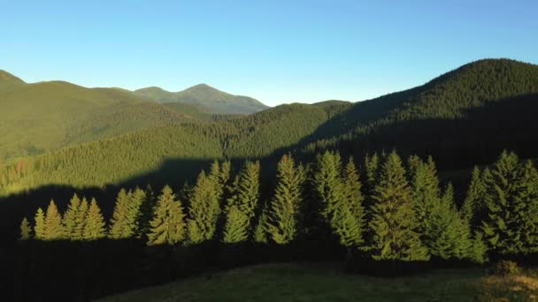 Majestueuse Vallée Montagne Par Une Journée Ensoleillée Avec Vertes Prairies — Video