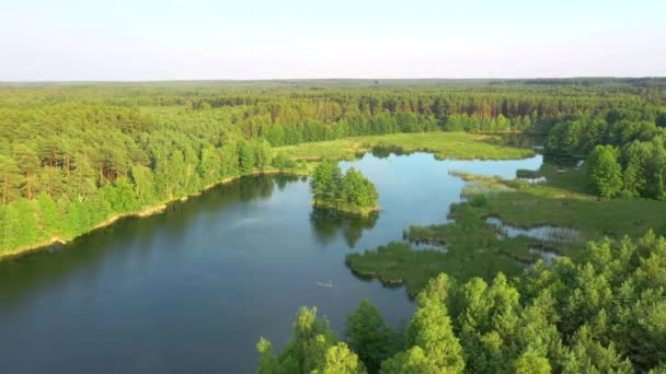 Idealny Widok Lotu Ptaka Spokojne Jezioro Zielone Lasy Słoneczny Dzień — Wideo stockowe