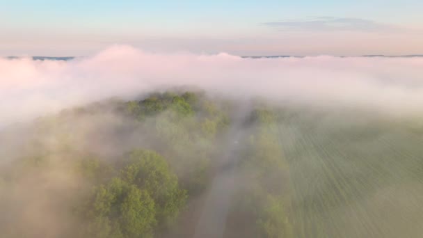 Autem Projíždějící Venkovskou Cestou Přes Zemědělskou Půdu Filmový Letecký Snímek — Stock video