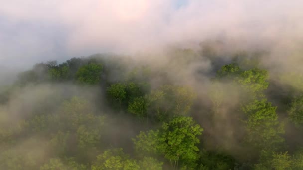 Πυκνή Ομίχλη Πρωί Κινείται Πάνω Από Δρόμο Που Διέρχεται Από — Αρχείο Βίντεο
