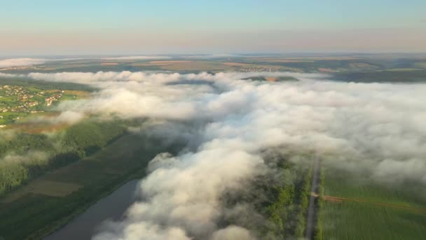 Fantastisk Udsigt Den Tågede Morgen Landdistrikterne Scene Landbrugsjord Filmisk Luftfoto – Stock-video