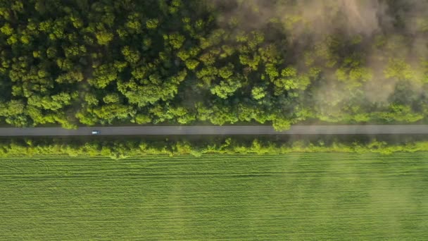 Zapierający Dech Piersiach Widok Drogę Przechodzącą Przez Las Zdjęcia Lotu — Wideo stockowe