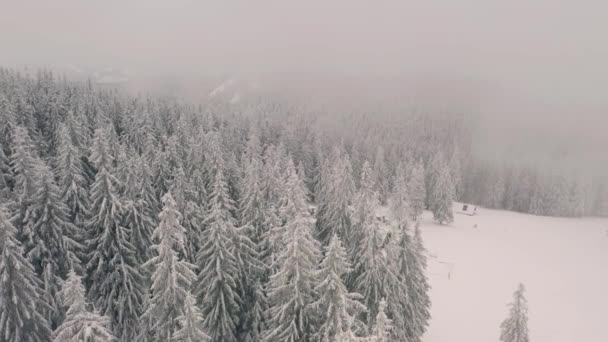 Splendida Scena Invernale Vista Volo Uccello Girato Video Drone — Video Stock