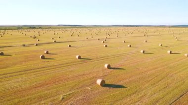 Altın tarlanın üzerinde uçan bir kuadkopterden buğday samanlarıyla ateş ediyorlar. Sonbahar mevsiminde çiftçilik. Ukrayna tarım bölgesi, Avrupa. Sinematik hava çekimi. 4k, İHA videosu ile çekilmiştir..