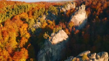 Güneşli bir günde, sonbahar ormanlarıyla çevrili uçurumlar. 4k, İHA videosu ile çekilmiştir..