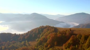 Renkli ormanın üzerinde gündüz uçan bir İHA 'dan harika bir manzara. 4k, İHA videosu.