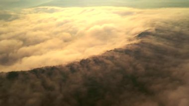 Güneş tarafından aydınlatılan kalın bir sis şafak vakti tarlaları kaplar. 4k, İHA videosu.