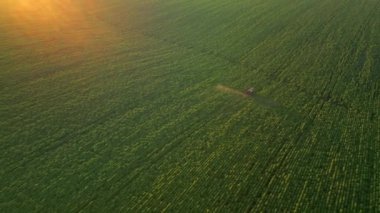 Yeşil alanlar püskürten traktörün üzerinde uçan bir dronun manzarası. 4k, İHA videosu.