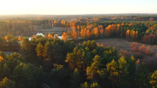 Drönaren Flyger Över Reservatet Morgonen Inspelning Drönarvideo — Stockvideo