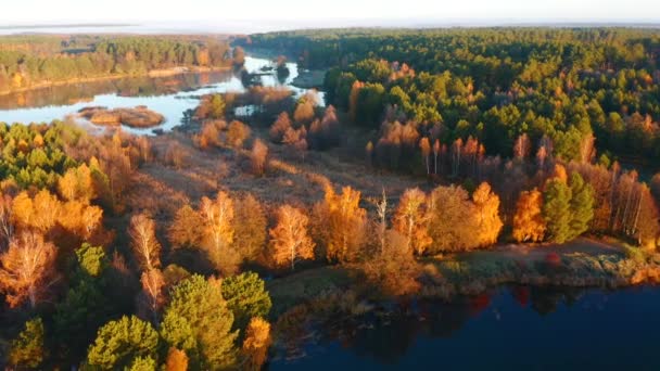 Attraktiver Blick Von Der Drohne Auf Das Geschützte Gebiet Morgengrauen — Stockvideo