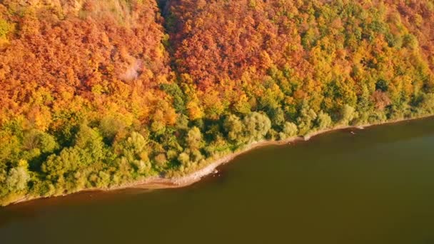 Güneşli Bir Günde Renkli Bir Ormanın Kuş Bakışı Manzarasından Muhteşem — Stok video