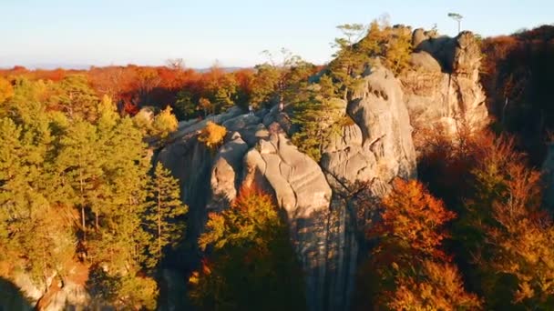 Klipper Omgivet Efterårsskov Solrig Dag Filmet Drone Video – Stock-video