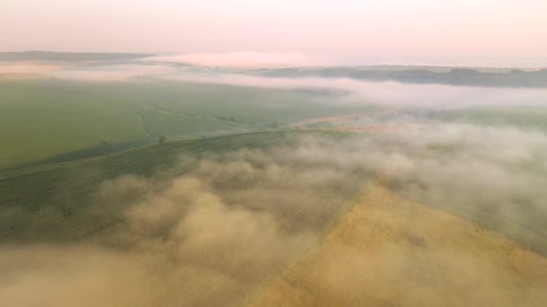 Schüsse Aus Einer Drohne Von Einem Nebelverhangenen Landwirtschaftlichen Gelände Gefilmt — Stockvideo