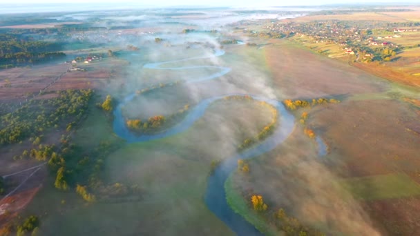 鳥の目の景色からは 曲がりくねった川や霧が平野を転がって上から見下ろしています 4Kで撮影されたドローンビデオ — ストック動画