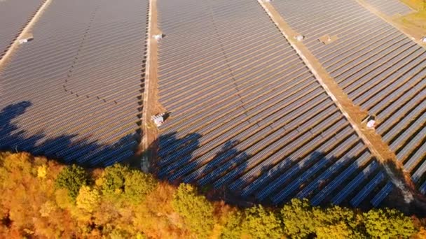 Vista Superior Sobre Painéis Fotovoltaicos Energia Solar Filmado Vídeo Drone — Vídeo de Stock