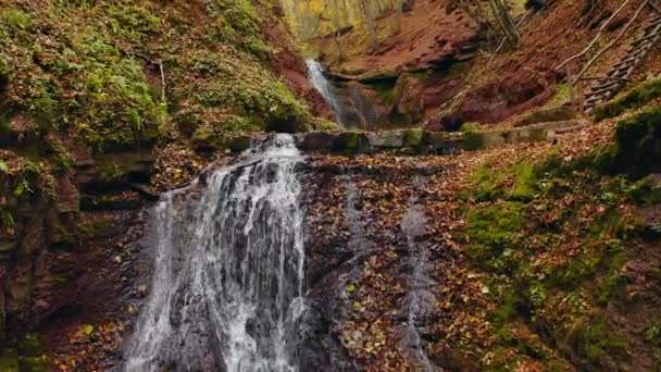 豪華な滝の上にある野生の魔法の森の中を飛ぶドローン 撮影4K ドローンビデオ — ストック動画